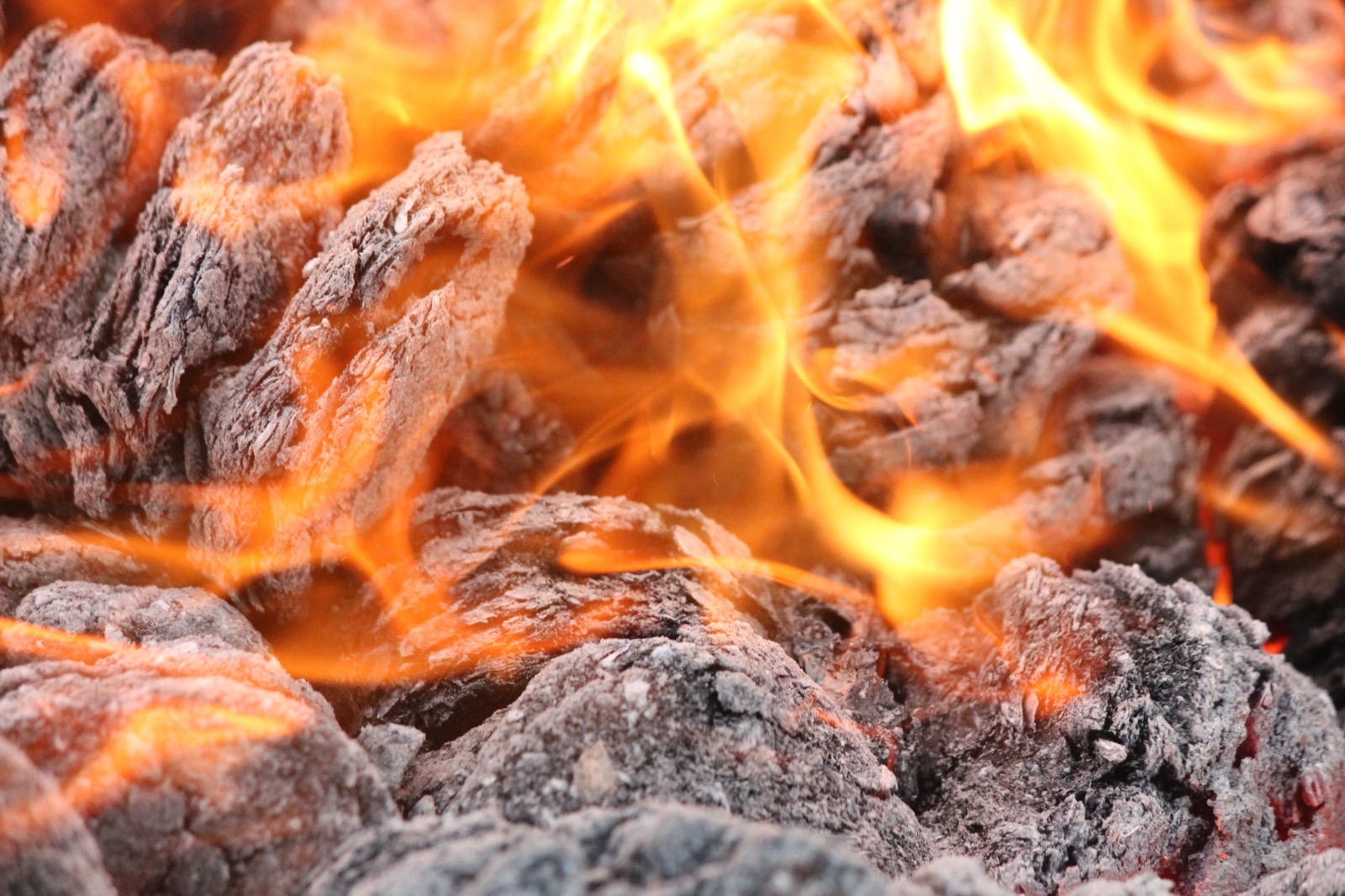 Waste Not Want Hotmax Fuel Briquettes, How To Dispose Of Ashes From Fire Pit Uk